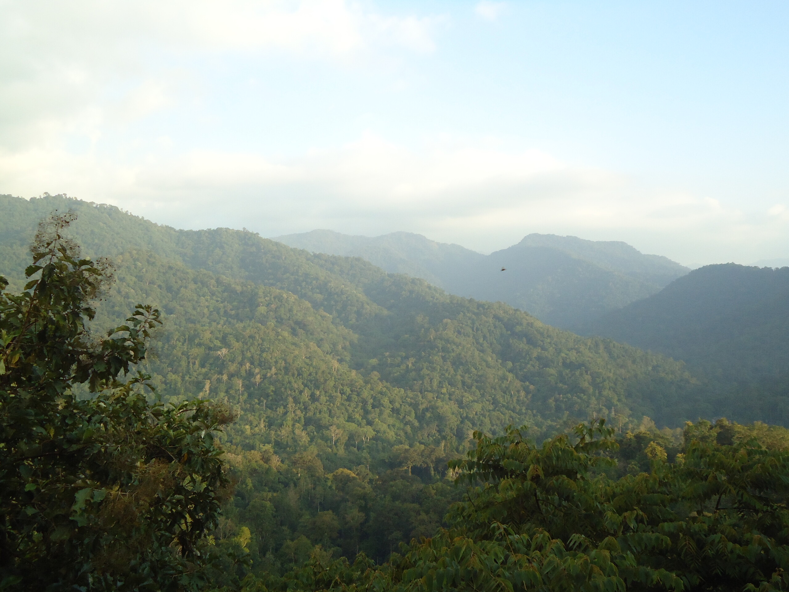 Sabarimala Temple